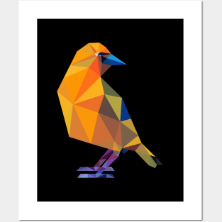 Bird Posters and Art